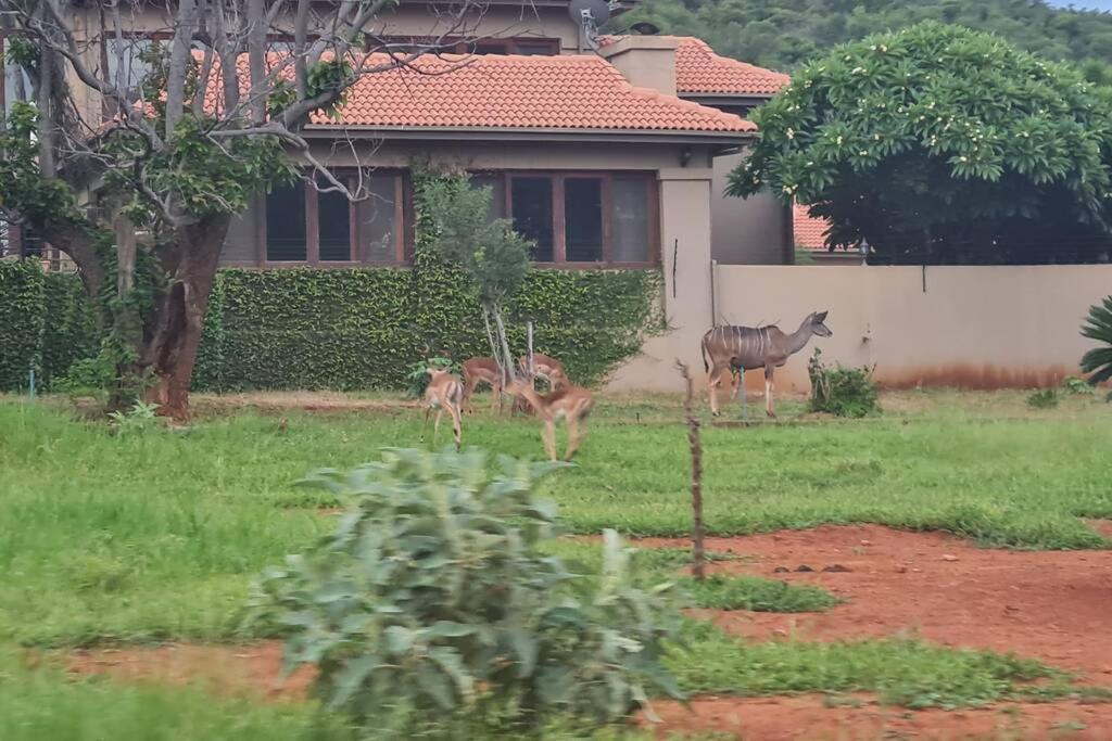 66 Sharalumbi Wildlife Estate Lägenhet Lydenburg Exteriör bild