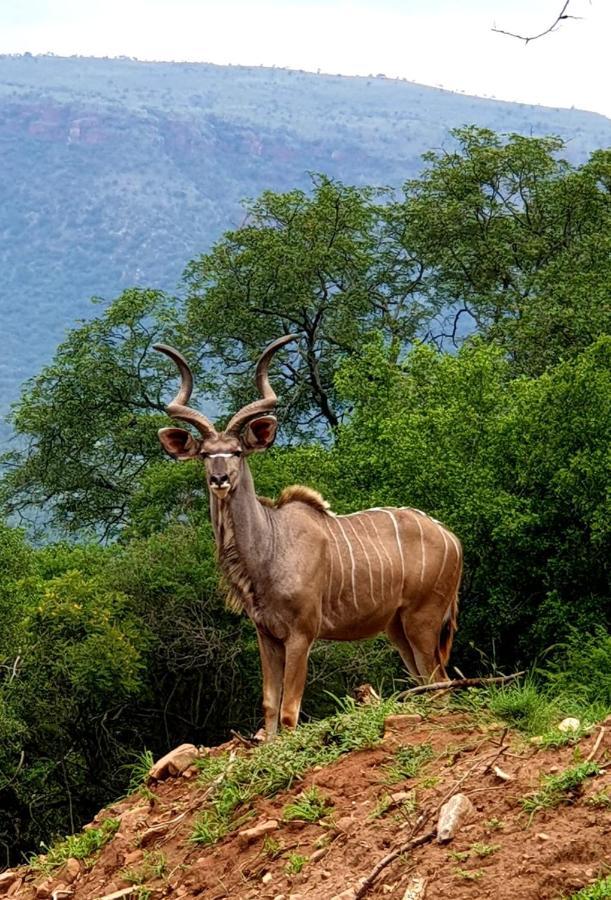 66 Sharalumbi Wildlife Estate Lägenhet Lydenburg Exteriör bild