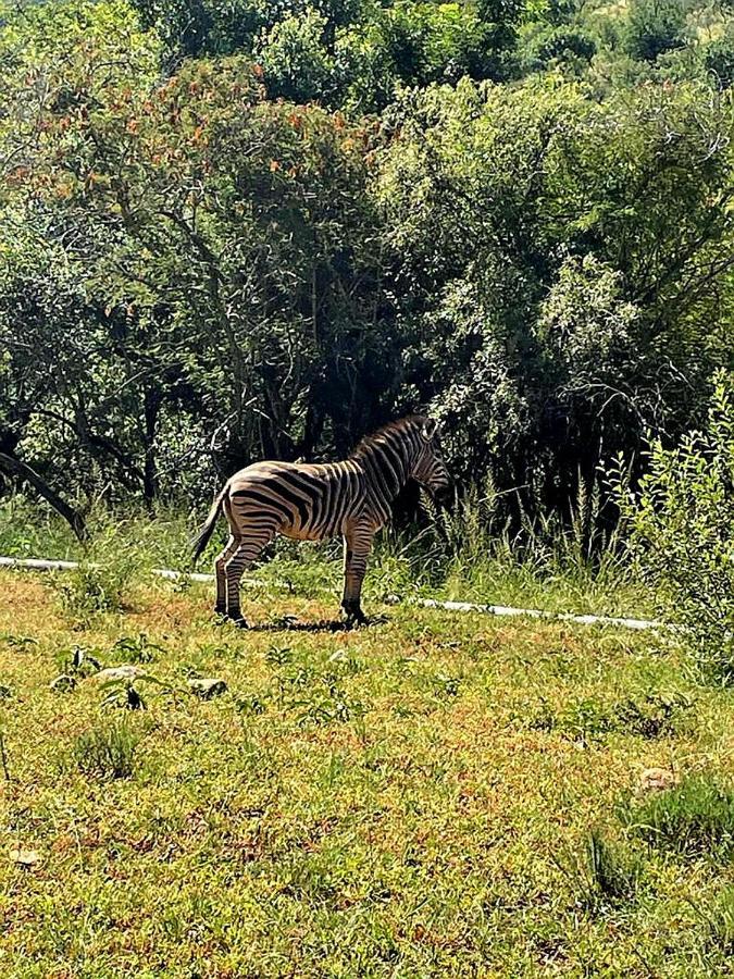 66 Sharalumbi Wildlife Estate Lägenhet Lydenburg Exteriör bild