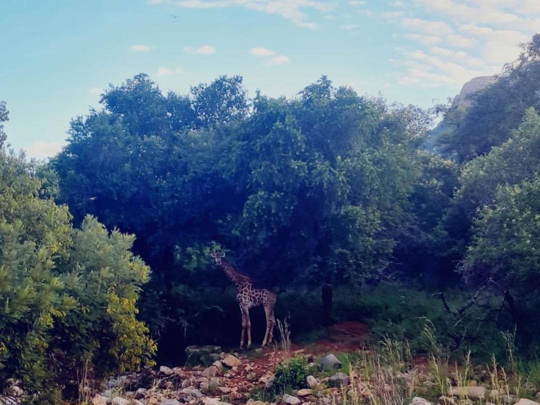 66 Sharalumbi Wildlife Estate Lägenhet Lydenburg Exteriör bild