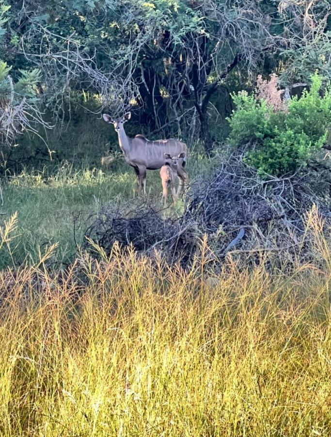 66 Sharalumbi Wildlife Estate Lägenhet Lydenburg Exteriör bild