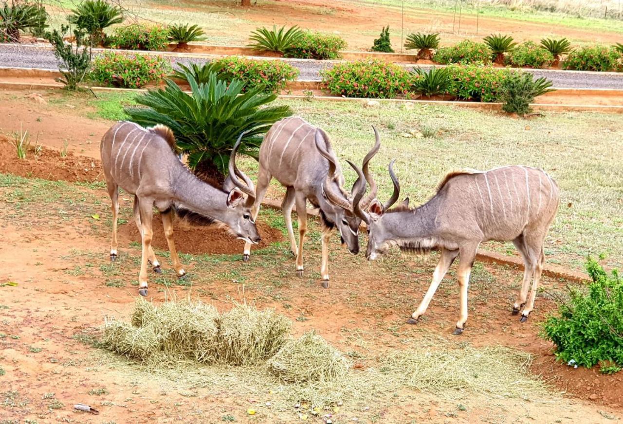 66 Sharalumbi Wildlife Estate Lägenhet Lydenburg Exteriör bild