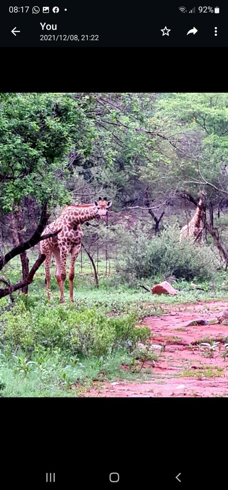 66 Sharalumbi Wildlife Estate Lägenhet Lydenburg Rum bild