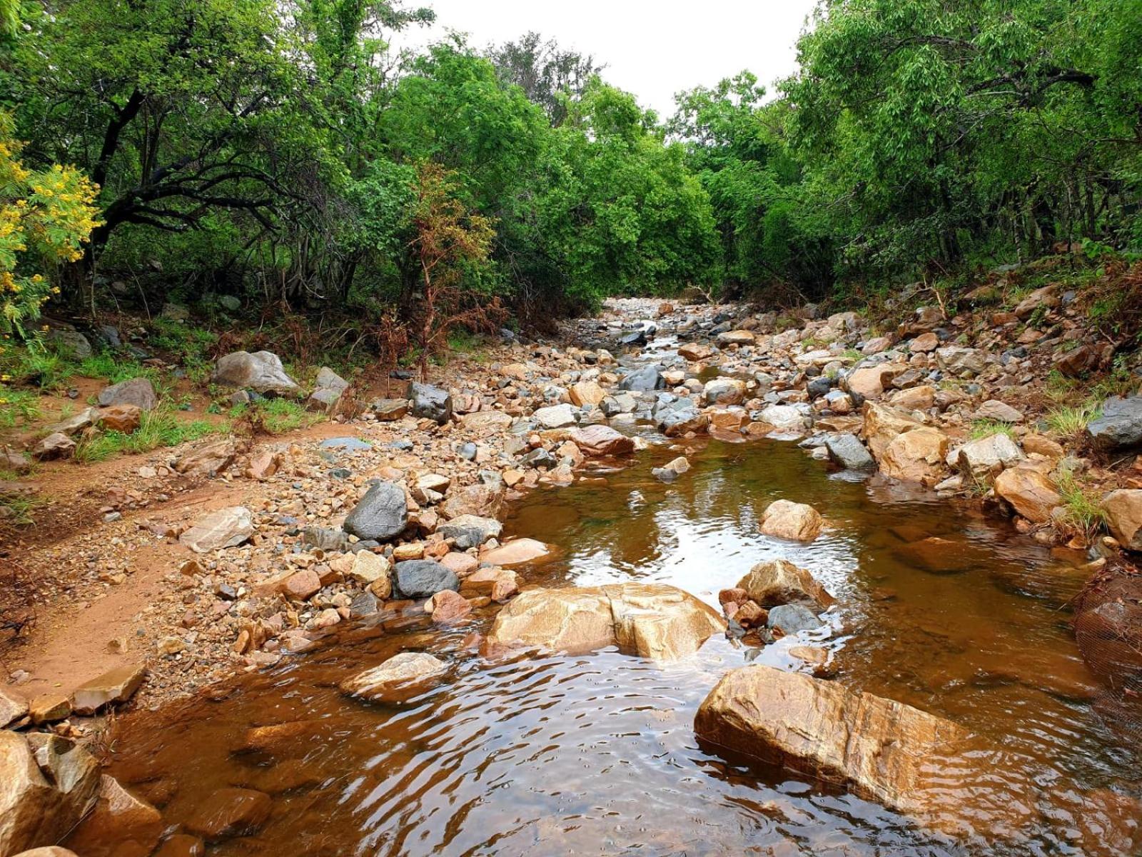 66 Sharalumbi Wildlife Estate Lägenhet Lydenburg Rum bild